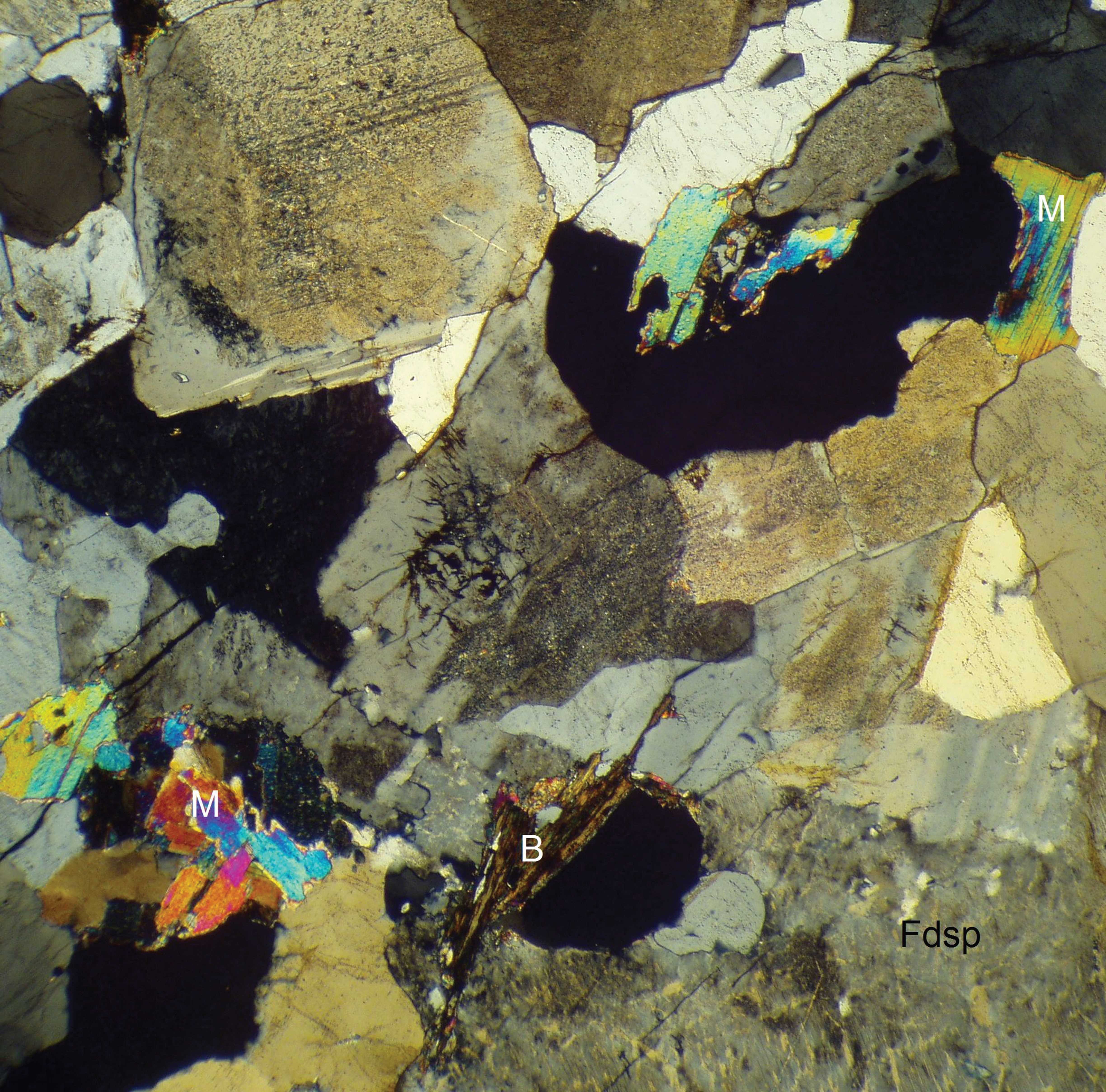 Ansicht unter dem Polarisationsmikroskop